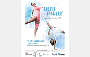 1/2 Finale Sud Est N3